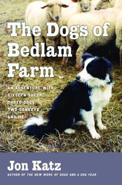 The dogs of Bedlam Farm : an adventure with sixteen sheep, three dogs, two donkeys, and me / Jon Katz.
