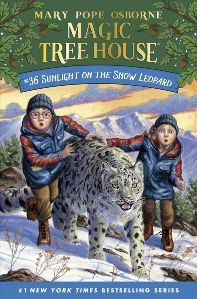 Sunlight on the snow leopard / by Mary Pope Osborne ; illustrated by AG Ford.