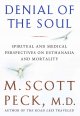 Denial of the soul : spiritual and medical perspectives on euthanasia and mortality  Cover Image