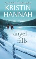 Angel Falls a novel  Cover Image