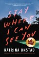 Stay where I can see you  Cover Image